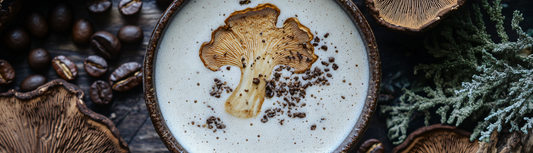 Exploring the Magic of Chaga Coffee