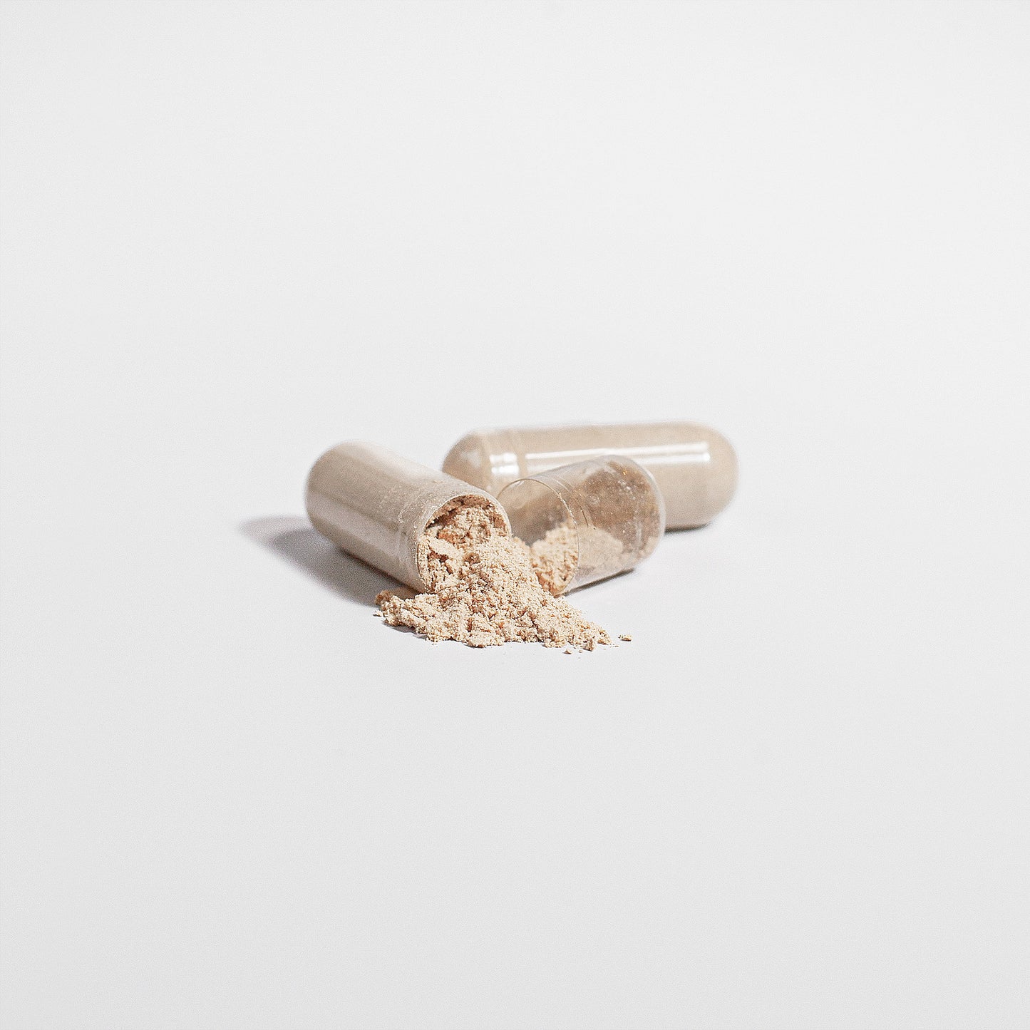 Focus Guard: Lion's Mane Mushroom Focus Blend